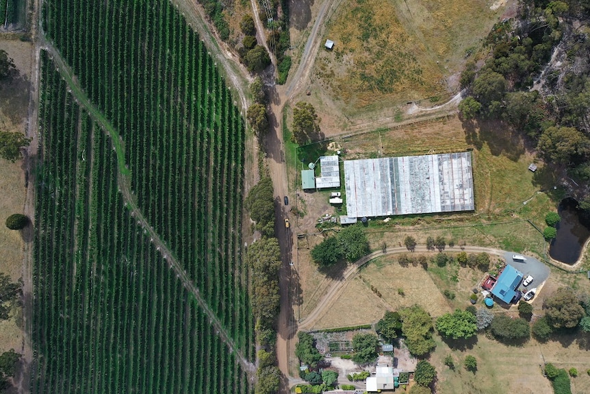 An aerial view of the glasshouses at Valley Fresh Farm in the Huon Valley.