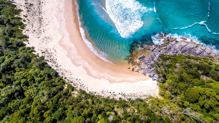 An overhead shot of a beach, with nearby vegetation