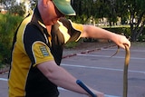 Alice Springs snake handler Rex Neindorf with snake