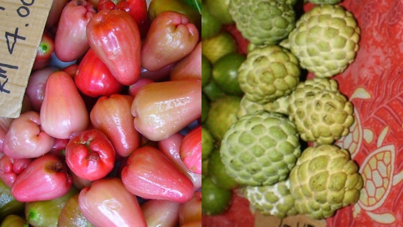 Composite image shows red coloured wax apples and green coloured sugar apples