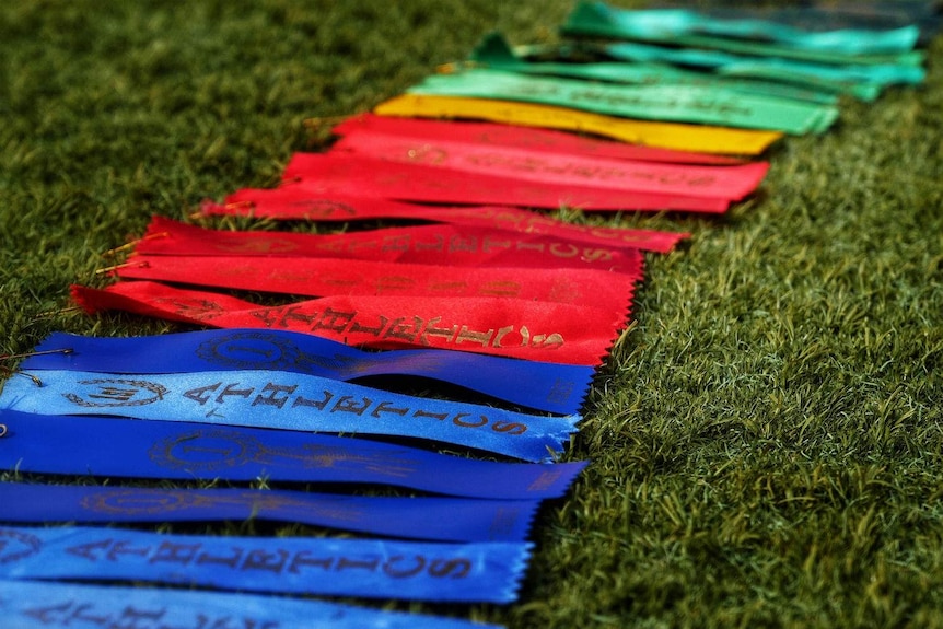 Athletic reward ribbons of different colours laying in a row on the grass.
