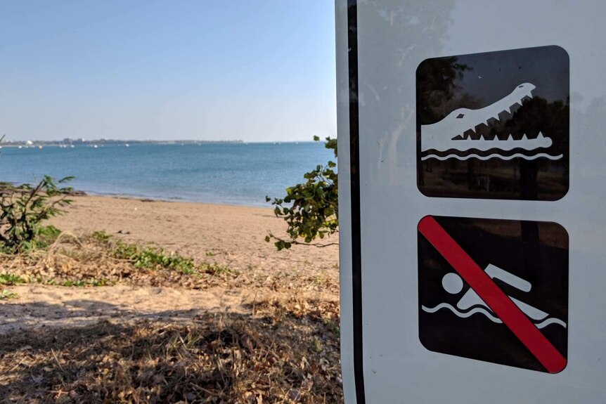 Close up image of 'No Swimming' croc warning sign with East Point beach in the background.