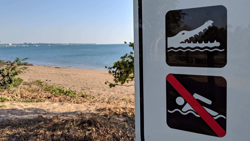 Close up image of 'No Swimming' croc warning sign with East Point beach in the background.