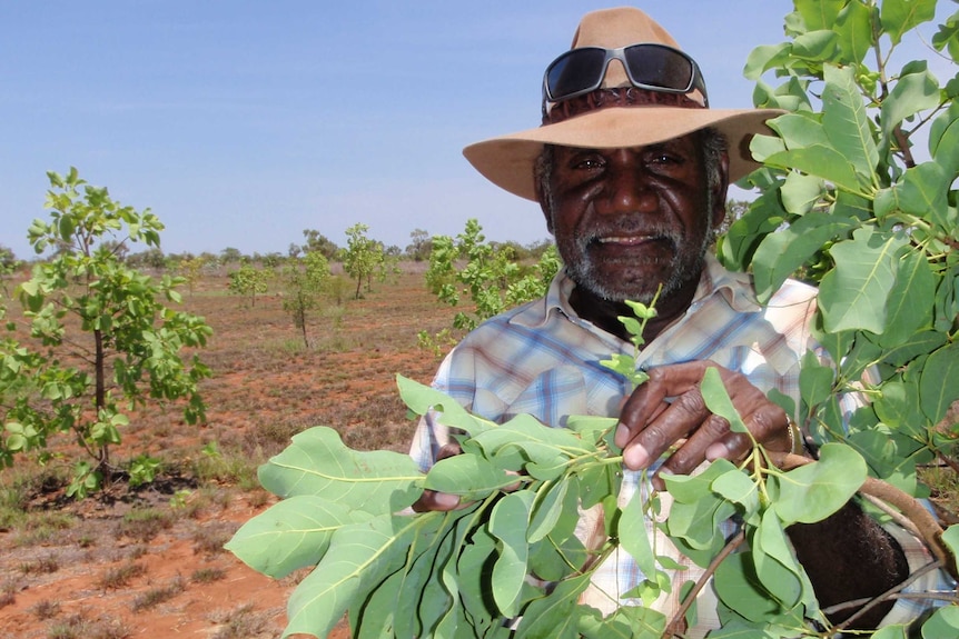 A man holds a tree branch.