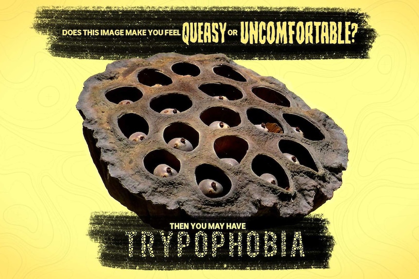 Trypophobia graphic image
