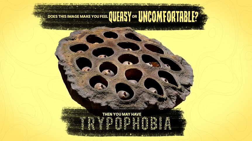 Trypophobia graphic image