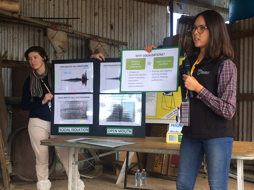 Young scientist Alexandra Green stands in a shed in front of dairy farmers to deliver a research presentation.