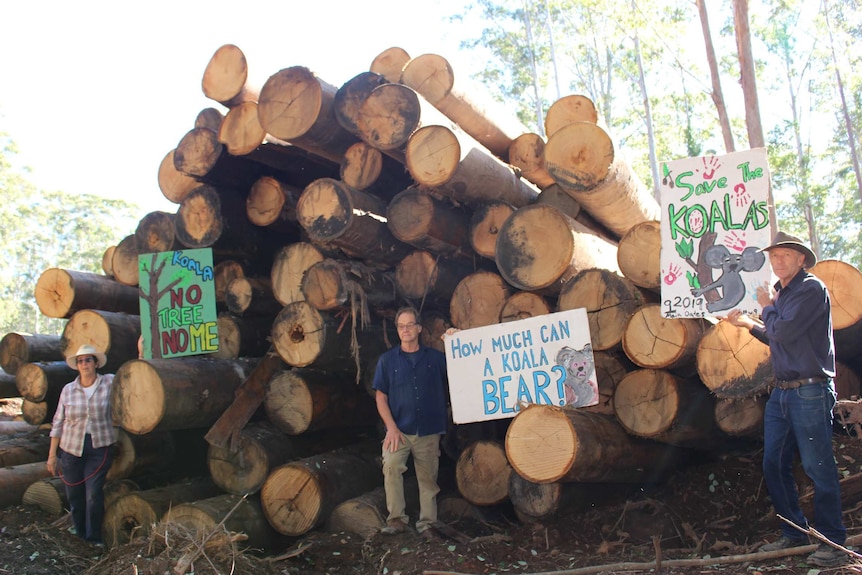 Four protesters at log pile