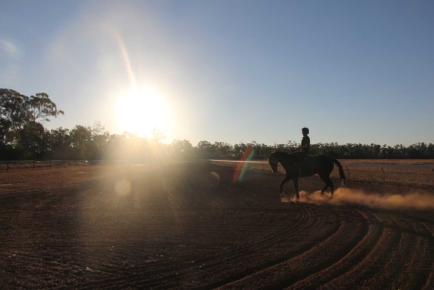 A jockey riding a horse in the sunset at a race track