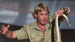Friends of the man known as the Crocodile Hunter say he died doing what he loved doing best. [File photo]
