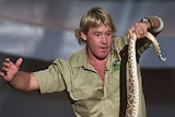 Steve Irwin has died aged 44 (file photo).