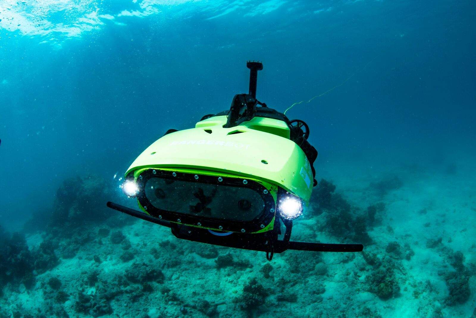 How IVF-type technology is giving dying coral on the Great Barrier Reef ...