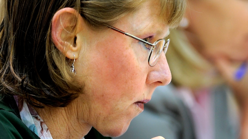 Mary-Jo Fisher in Parliament