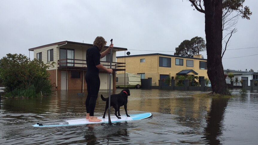 Surfer and dog on flooded street at Sussex Inlet, NSW