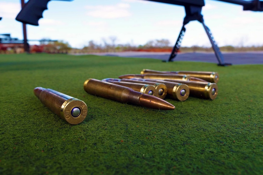 Bullets rest on turf with a high calibre rifle in the background.