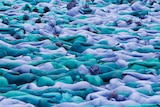 Nude bodies lie on the ground painted in blue