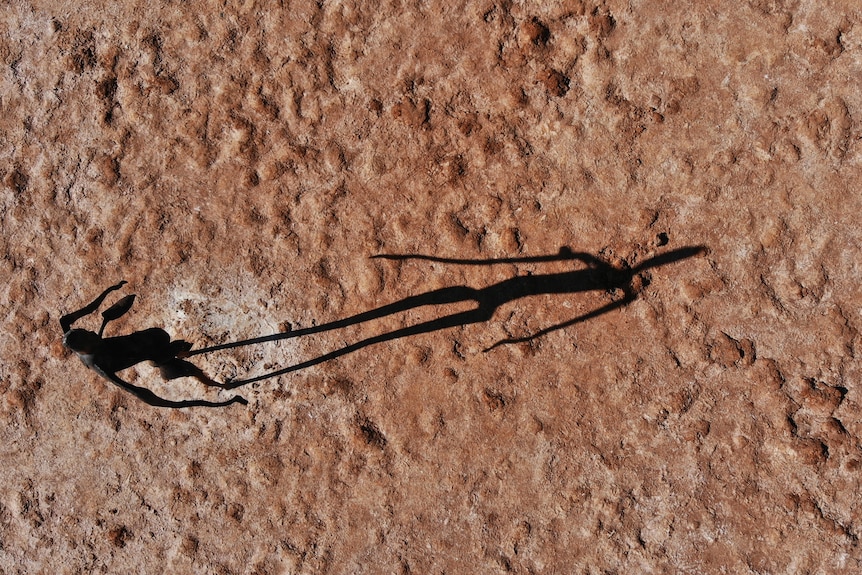 The human-like sculpture is photographed from above and its shadow stretches across the dry lakebed