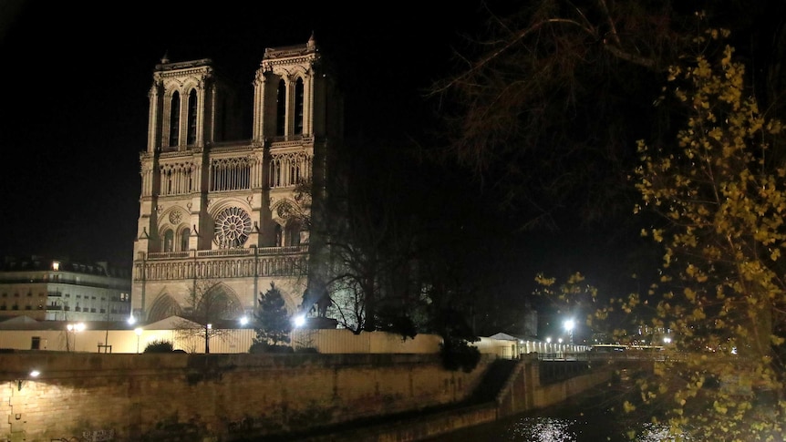 lights shine on the notre dame cathedral which is shown with a river in the foreground