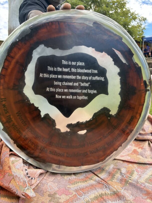 tree stump with plaque 