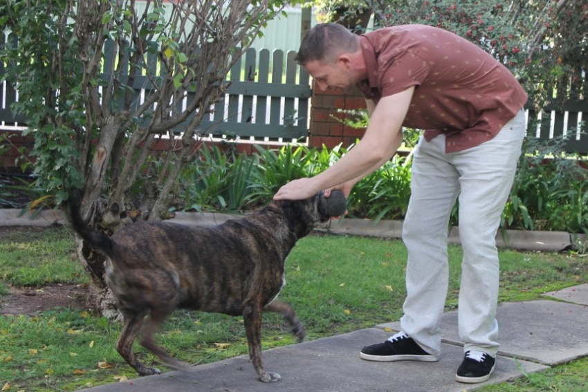 Wodonga veteran Eli Turner plays with his dog Jake out the front of his house.