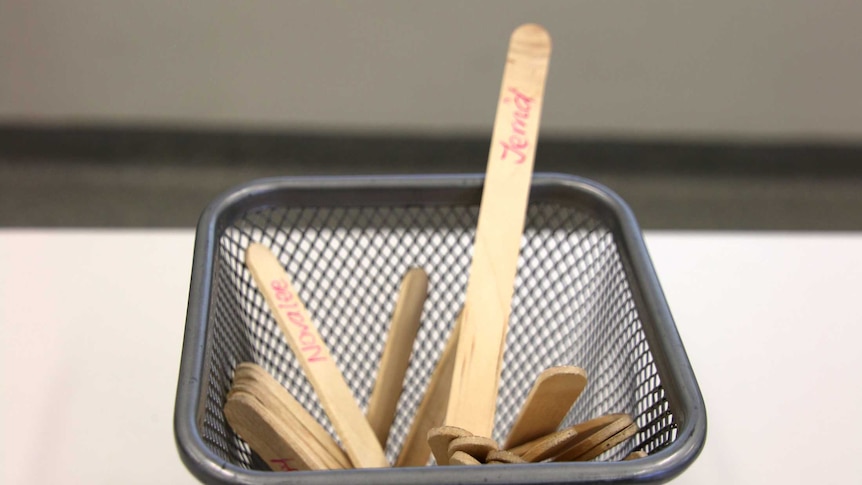 Wire basket of popsticks with names written on them sitting on a desktop.