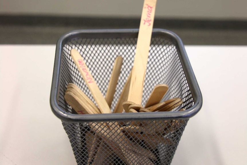 Wire basket of popsticks with names written on them sitting on a desktop.