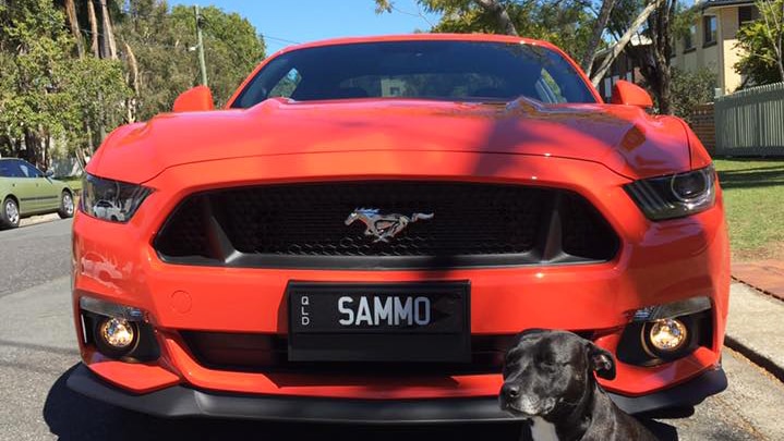 An orange Ford Mustang with a dog sitting beside it.