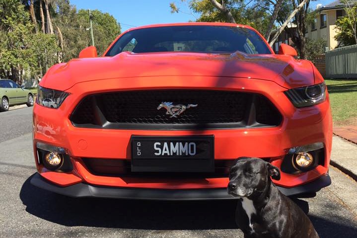 Mr Thompson's Ford Mustang, which was discovered in northern NSW.