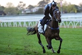 Jockey Daniel Stackhouse rides Lidari in trackwork at Caulfield