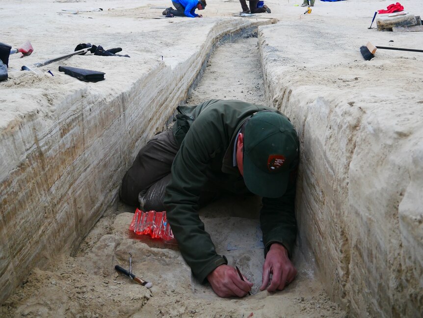 A man studies the ground in a trench surrounded by sand.