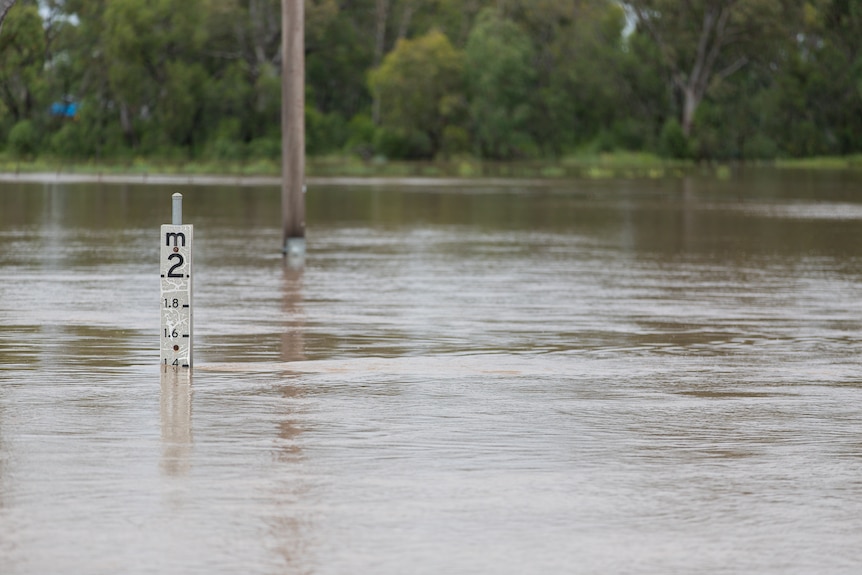 A flood sign with flood waters.