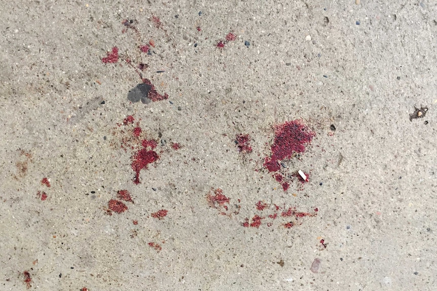 Blood is seen on the ground where AfD politician Frank Magnitz was attacked in Bremen, Germany.