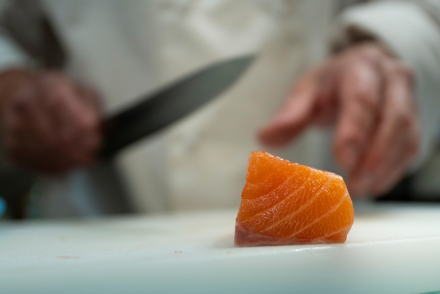 A chef with a knife in hand approaches a fresh slice of salmon laying on a chopping board