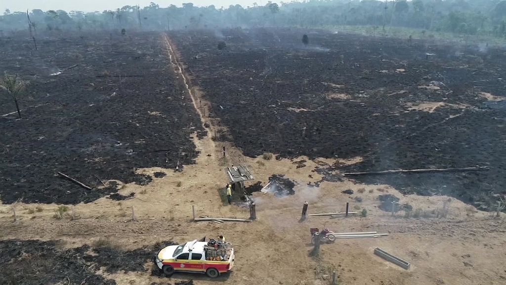 Deforestation In Brazil's Amazon Skyrockets To 12-year High Under Jair ...