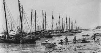 The Broome lugger fleet moored in 1914.