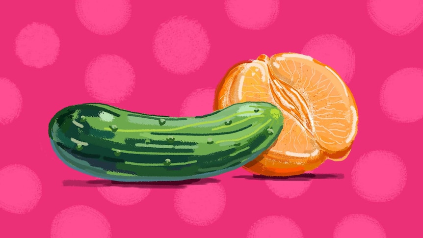 Illustration of cucumber and mandarin with pink background