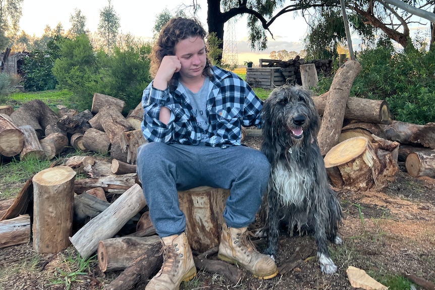 A teenage boy sits on a log next to a large grey dog.