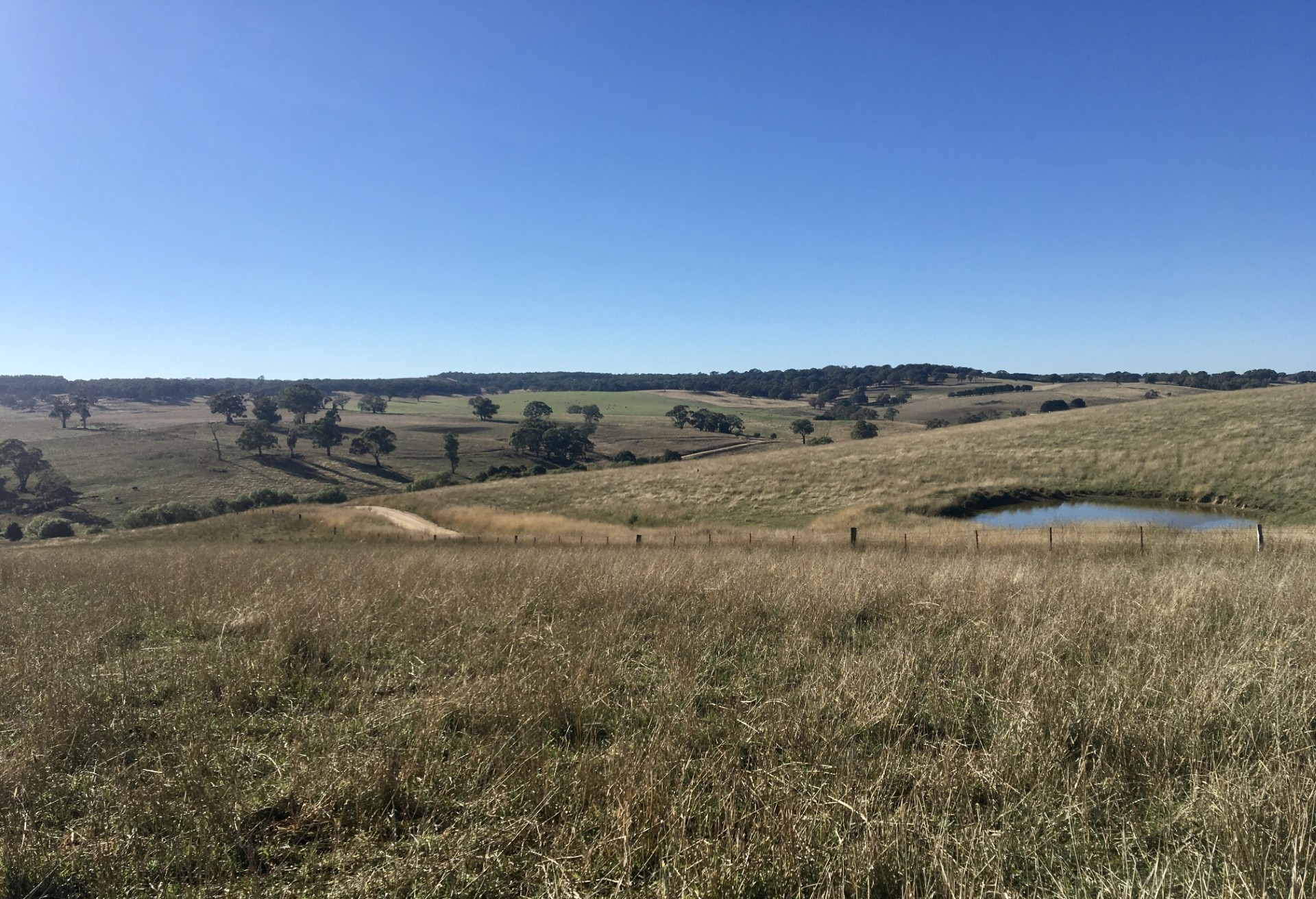 McPhillamys goldmine site