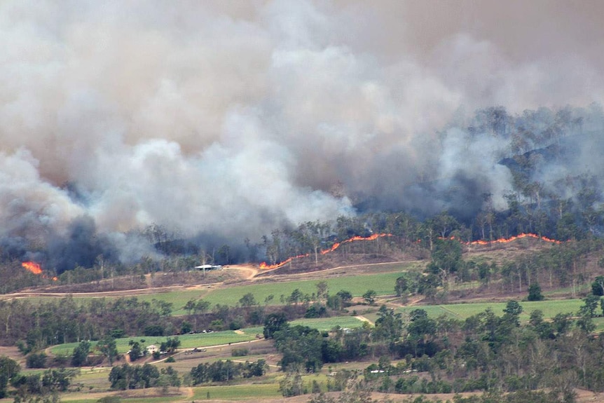 The Finch Hatton fire front at Eungella