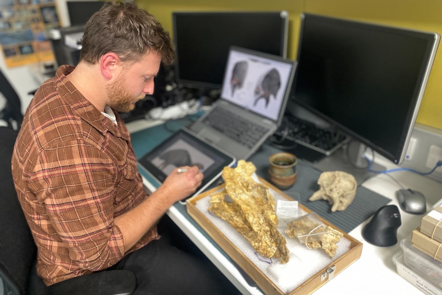 A man looking at a tablet. There's a large bird skull in the foreground of the image. 