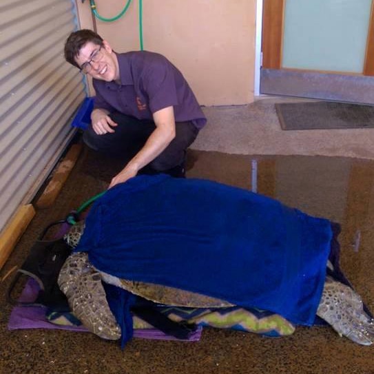 Vet Tim Montgomery stands over sick turtle Finny as the creature sits covered in a blanket.