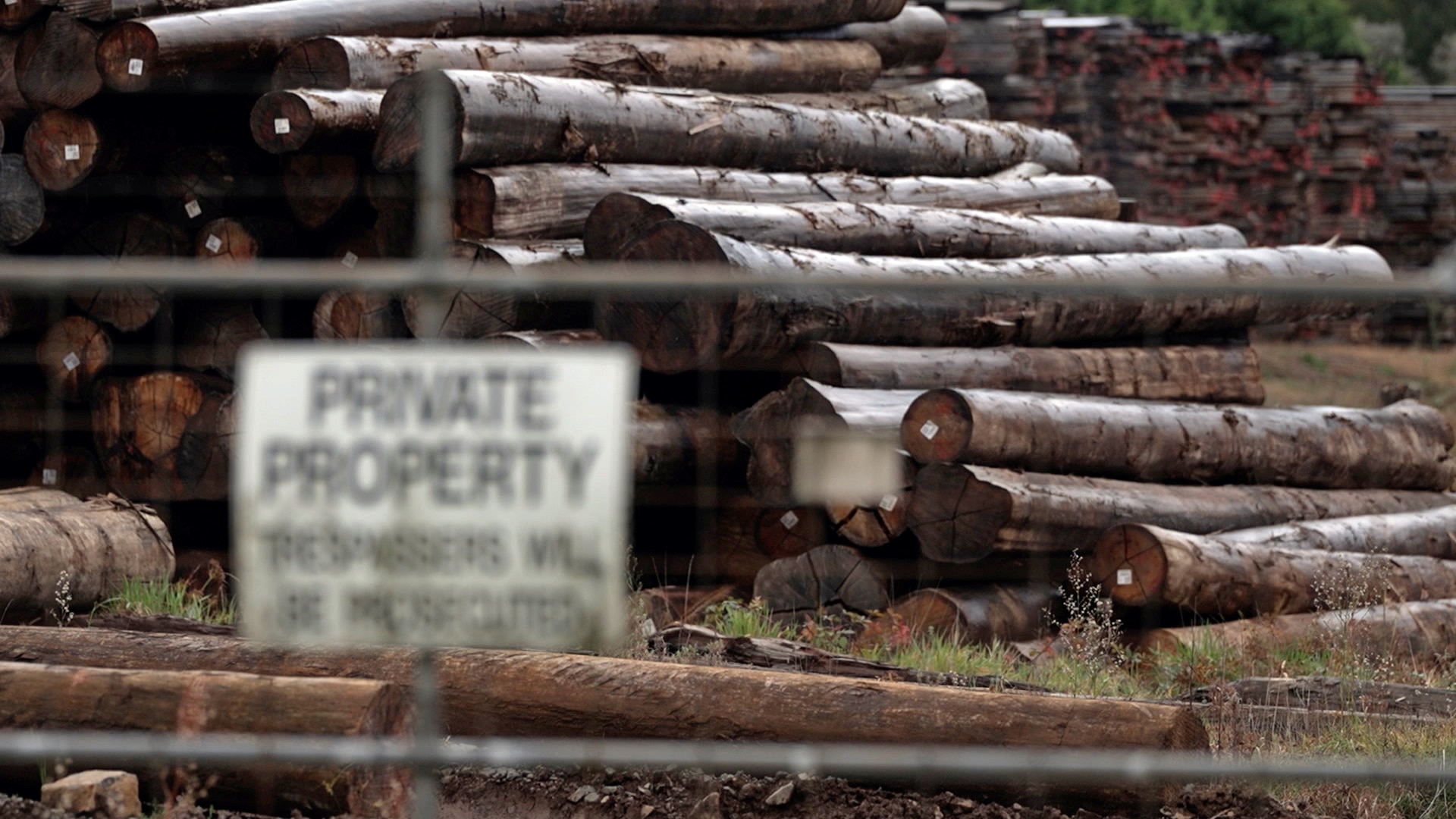 Dozens of logs piled up behind a chain-link fence with a sign that says 'Private Property'.