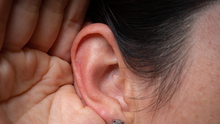 Hard of hearing, expert on cochlear