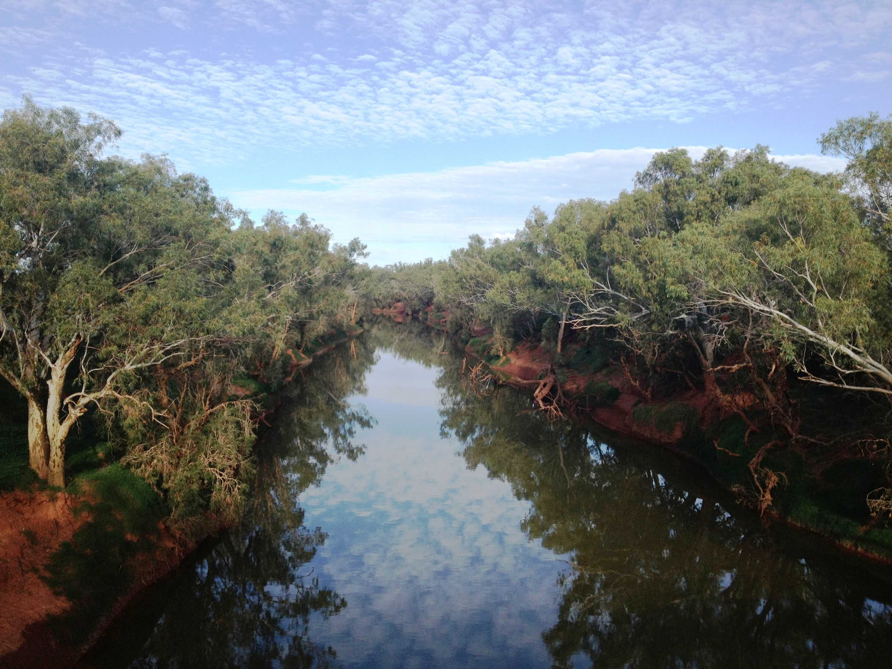 A wide shot of a river with trees on banks on either side.