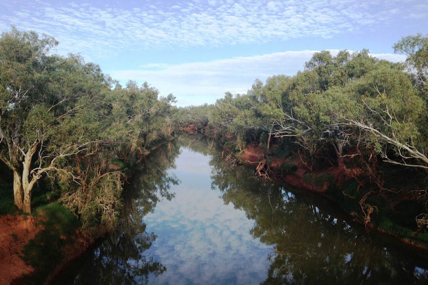 A wide shot of a river with trees on banks on either side.