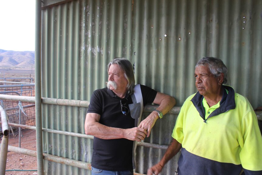 Two men in a shed on an outback station.