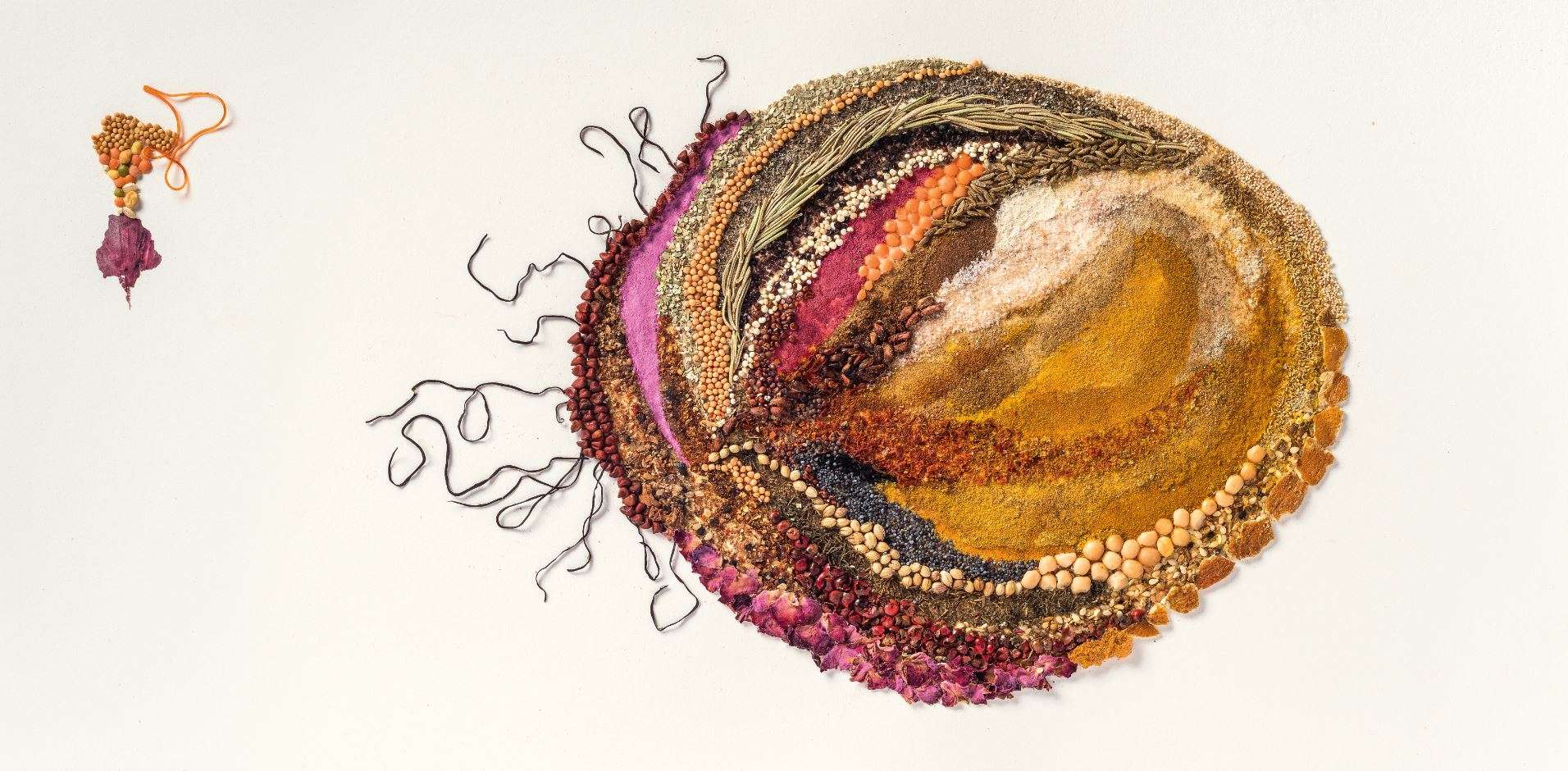 Jeannie Baker shares secrets of her trade in her new children's book Playing with Collage ABC News