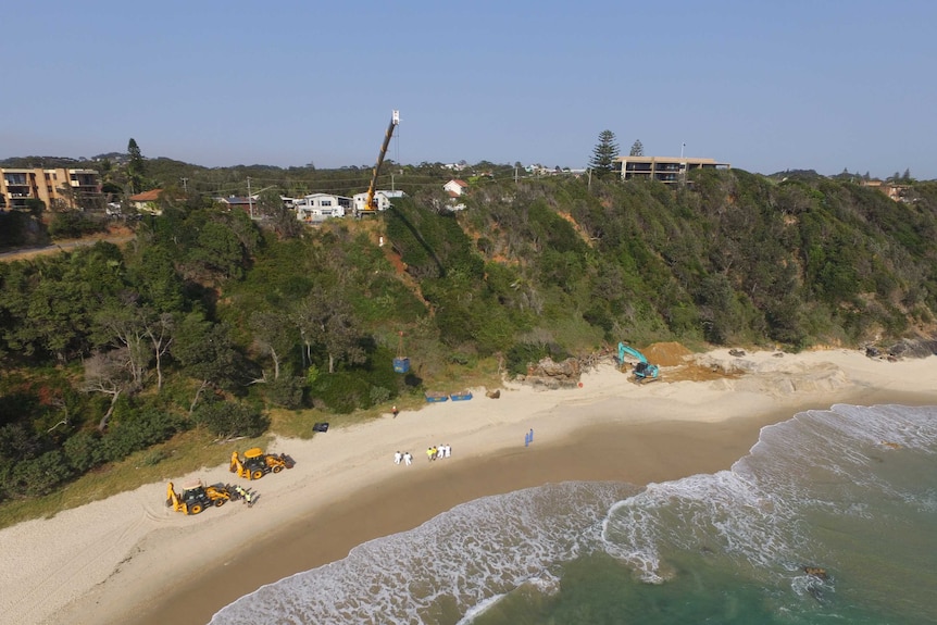 Drone image of whale being removed from Nobbys Beach