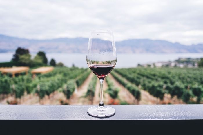 image of wine glass with vineyard in the background