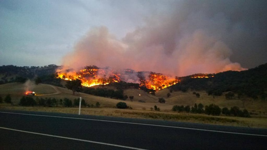 Fire burns around Minjary in NSW